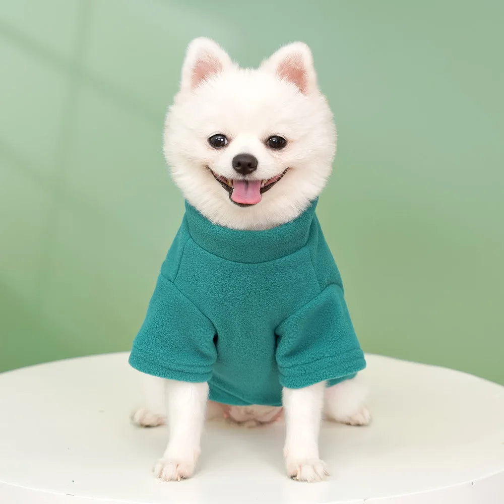 Winter Warm Dog Hoodies Pet Clothes for Small Dogs Fashion Solid Color Puppy Sweatshirt Soft Cat Pullovers Chihuahua Pet Hoodies