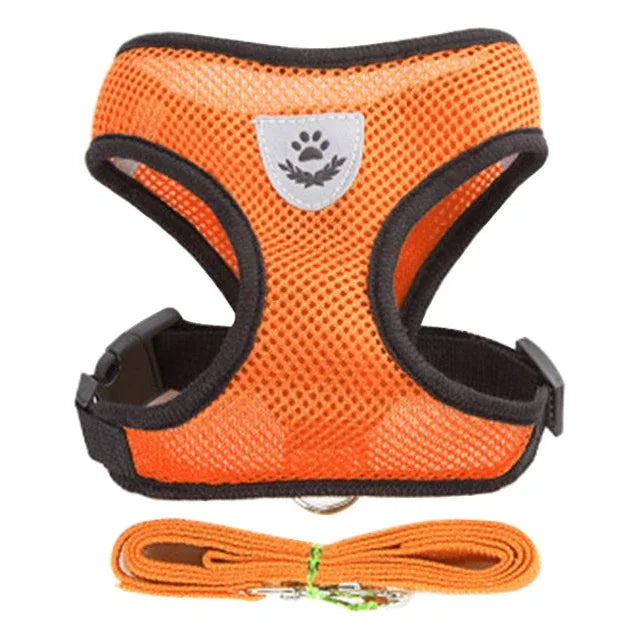 Adjustable Cat and Dog Harness Vest with Leash | Breathable Reflective Mesh Walking Harness for Small Medium Pets