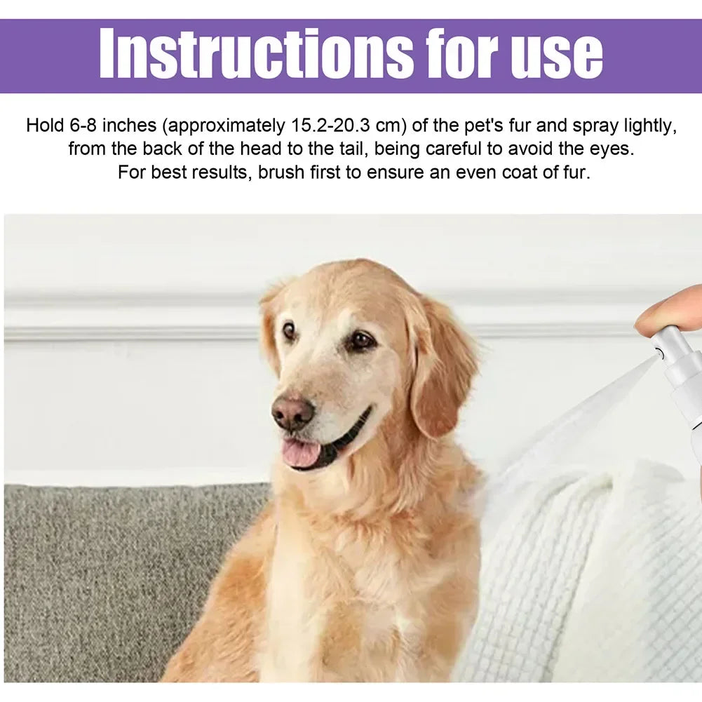 Lavender Pet Deodorization Spray 50ml – Natural Dog and Cat Perfume, Odor Remover & Coat Freshener