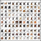 Personalized Pet Mat Custom Welkom Bij Dog Cat Doormat Rug Floor Mats Carpet Home Decor Accessory Pets Owners Lovers Gift