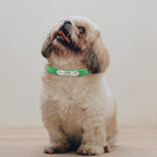 Personalized PU Leather Dog Collar with Engraved Name ID Tag – Adjustable Anti-Lost Pet Collar for Small Medium Large Dogs and Cats