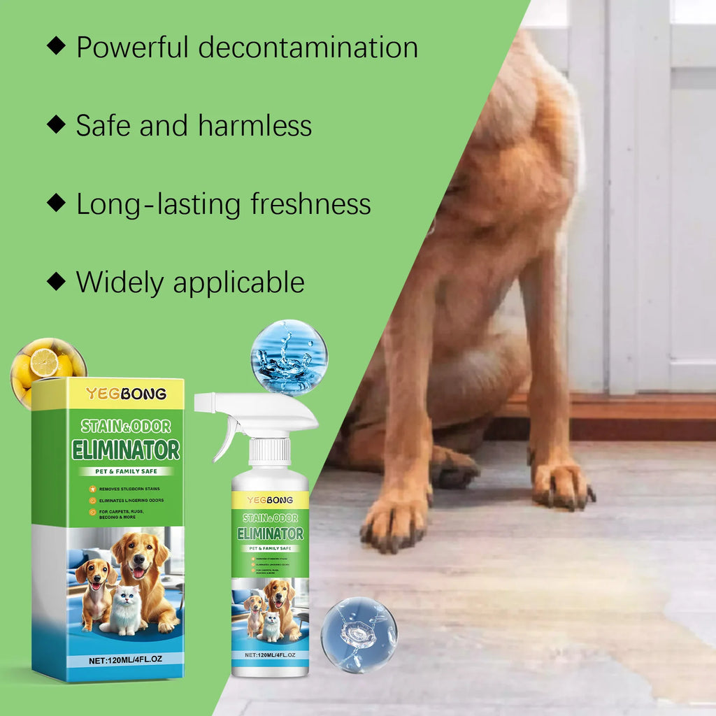 Pet Stain & Odor Remover Spray for Dogs and Cats – Deep Cleaning Urine Stain & Odor Eliminator 120ml