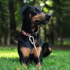 Double-Headed Dog Tie Out Cable Leash – Heavy Duty Steel Wire Outdoor Training Traction Rope
