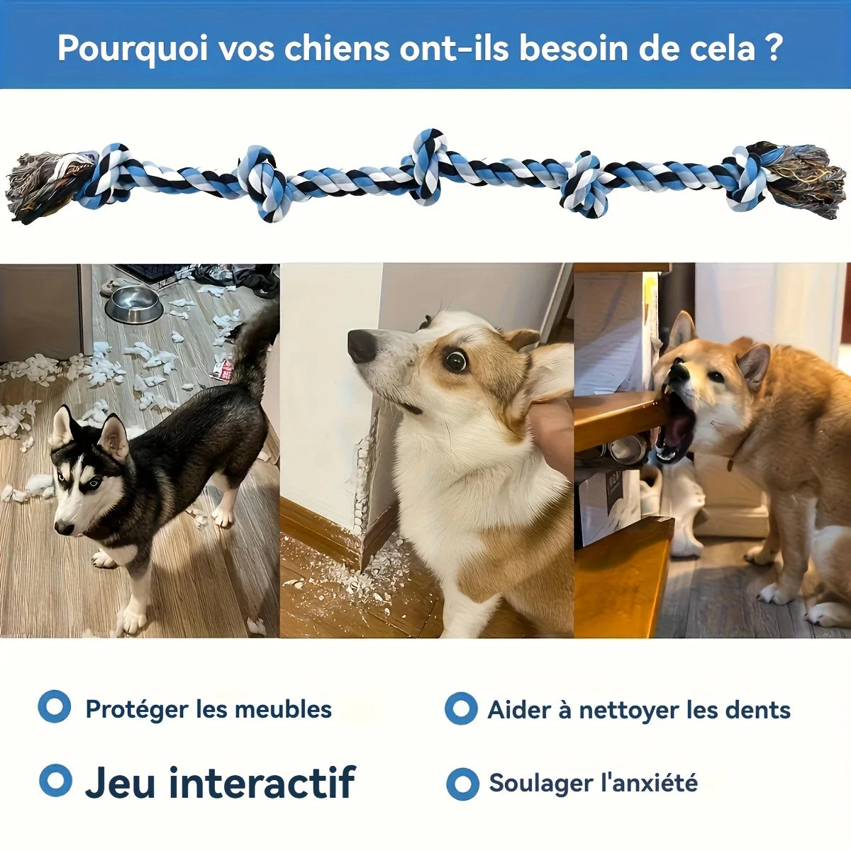 Heavy Duty Dog Rope Toy for Aggressive Chewers – Extra Long Cotton Chew & Teeth Cleaning Tug Toy