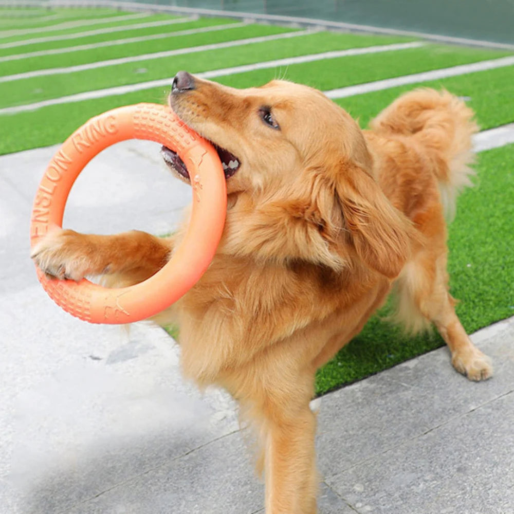 EVA Dog Training Ring Toy – Durable Flying Disc Pull Ring for Fetch, Teeth Cleaning & Interactive Play