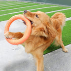 EVA Dog Training Ring Toy – Durable Flying Disc Pull Ring for Fetch, Teeth Cleaning & Interactive Play