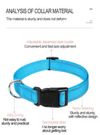 Decorative Choker Dog Collar for Small Puppies – Adjustable Nylon Pet Neck Collar