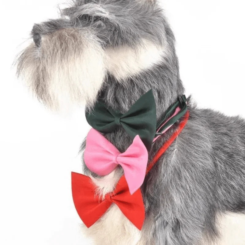 Adjustable Pet Bowtie Collar for Dogs and Cats – Stylish Bow Tie Neck Collar for Small Medium Large Pets