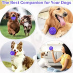 Indestructible Rubber Ball Dog Toy – Interactive Chew & Teeth Cleaning Toy