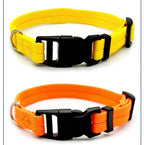 Solid Color Dog Collar for Small and Medium Dogs | Quick Release Adjustable Puppy Training Collar for Teddy Bichon Cats