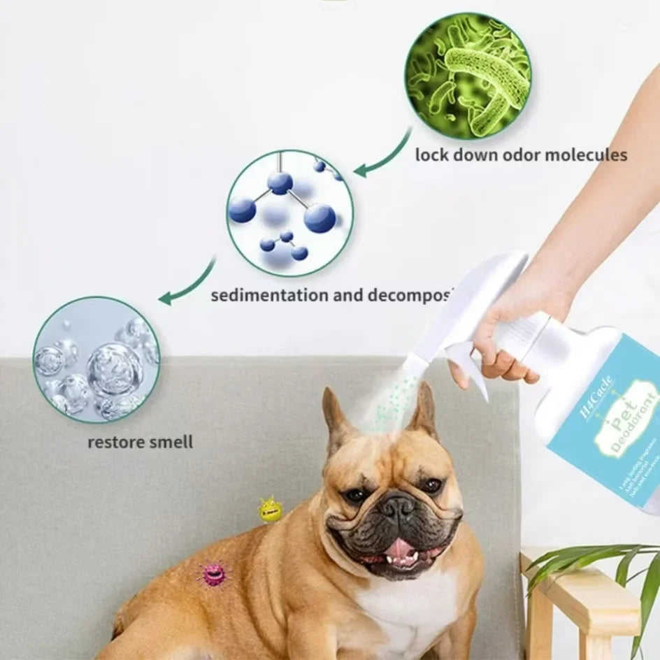 Dog Deodorizer Spray 300ml – Long Lasting Pet Perfume & Odor Remover for Dogs, Puppies & Cats