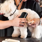 Professional Pet Deshedding Brush | Dog Hair Remover & Ergonomic Grooming Tool