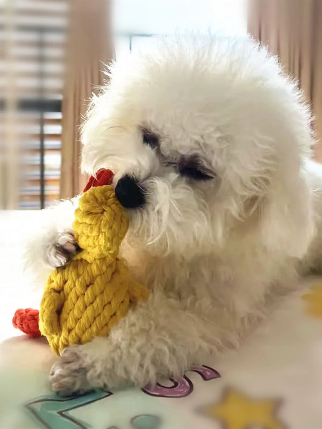 Hand-Woven Cotton Rope Knot Dog Toy – Bite Resistant Teeth Cleaning Chew Toy for Small and Medium Dogs
