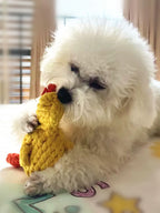 Hand-Woven Cotton Rope Knot Dog Toy – Bite Resistant Teeth Cleaning Chew Toy for Small and Medium Dogs
