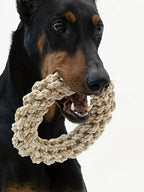 Durable Pet Dog Rope Toy – Bite Resistant Interactive Chew Toy for Medium and Large Dogs