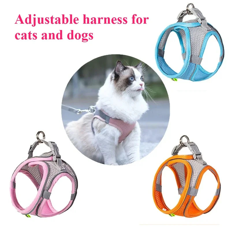 Interactive Plush Goose Dog & Cat Toy – Squeaky Chew & Tug Training Toy