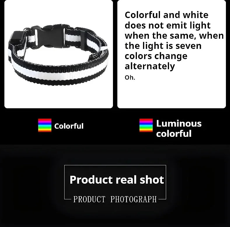 LED Nylon Dog Collar – Flashing Glow in the Dark Night Safety Collar for Dogs
