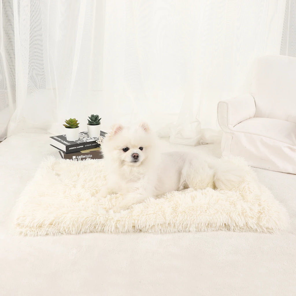Plush Dog Blanket and Warm Pet Bed for Small Medium Large Dogs and Cats | Washable Puppy Sleeping Mat