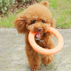 EVA Dog Training Ring Toy – Durable Flying Disc Pull Ring for Fetch, Teeth Cleaning & Interactive Play
