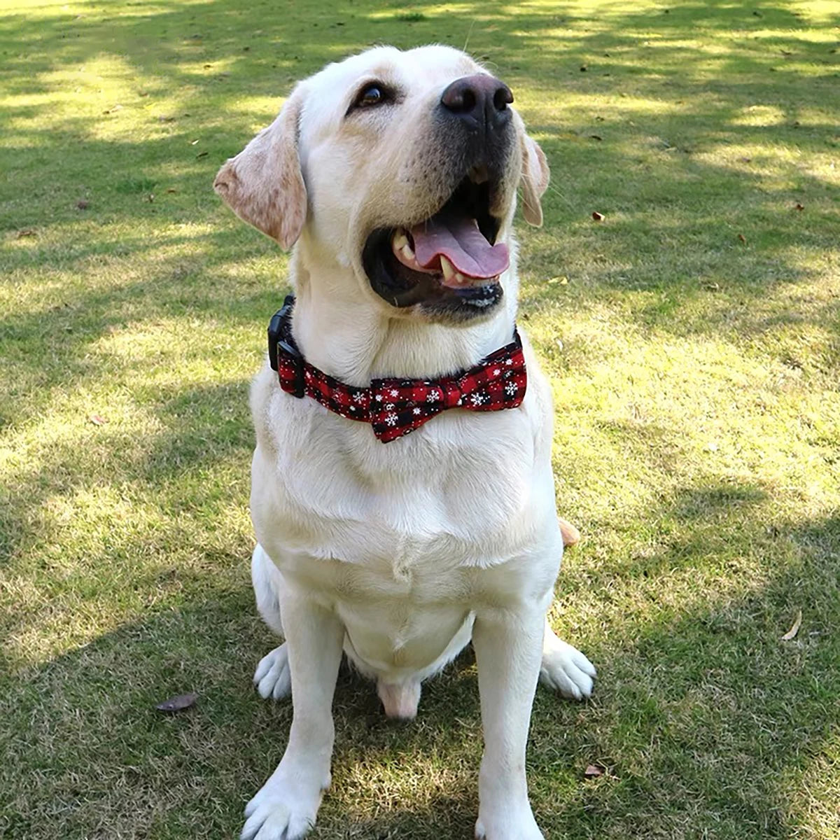 Christmas Plaid Dog Collar with Bow Tie and Snowflake Design | Adjustable Holiday Pet Collar for Small Large Dogs and Cats