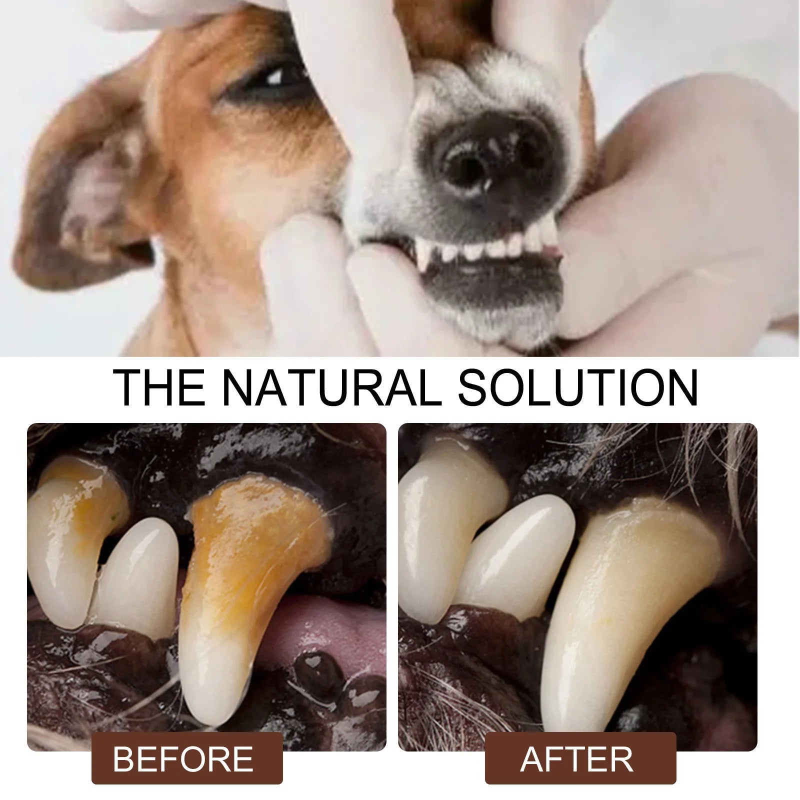 Pet Tooth Cleaning Spray 30ml – Fresh Breath Dental Care & Oral Hygiene Spray for Dogs and Cats