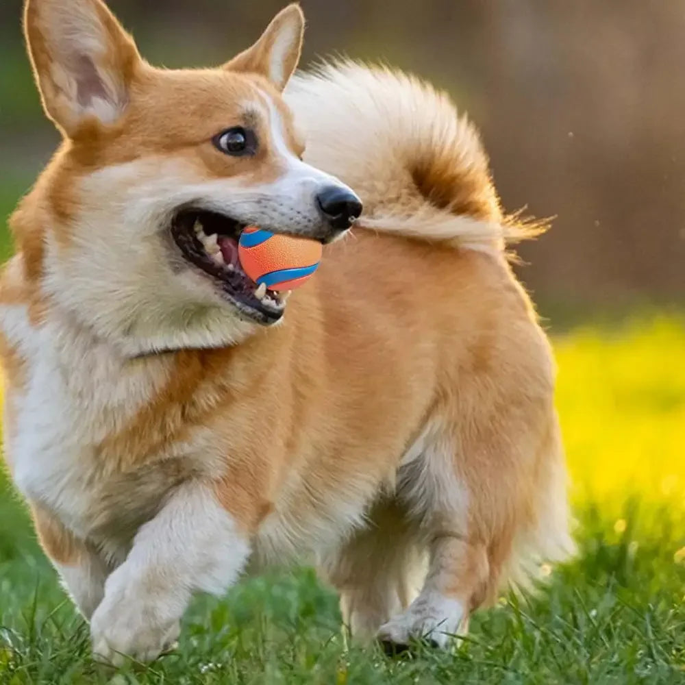 Dog Fetch Ball Toy – Tough Rubber Chew & Elastic Jumping Ball for Large, Medium and Small Dogs