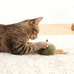 Interactive Mouse Plush Cat Toy – Squeaky Bite-Resistant Kitten Chew Toy