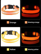 LED Nylon Dog Collar – Flashing Glow in the Dark Night Safety Collar for Dogs