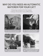 3L Automatic Cat Water Fountain – Silent Circulating Pet Drinking Dispenser with Filter