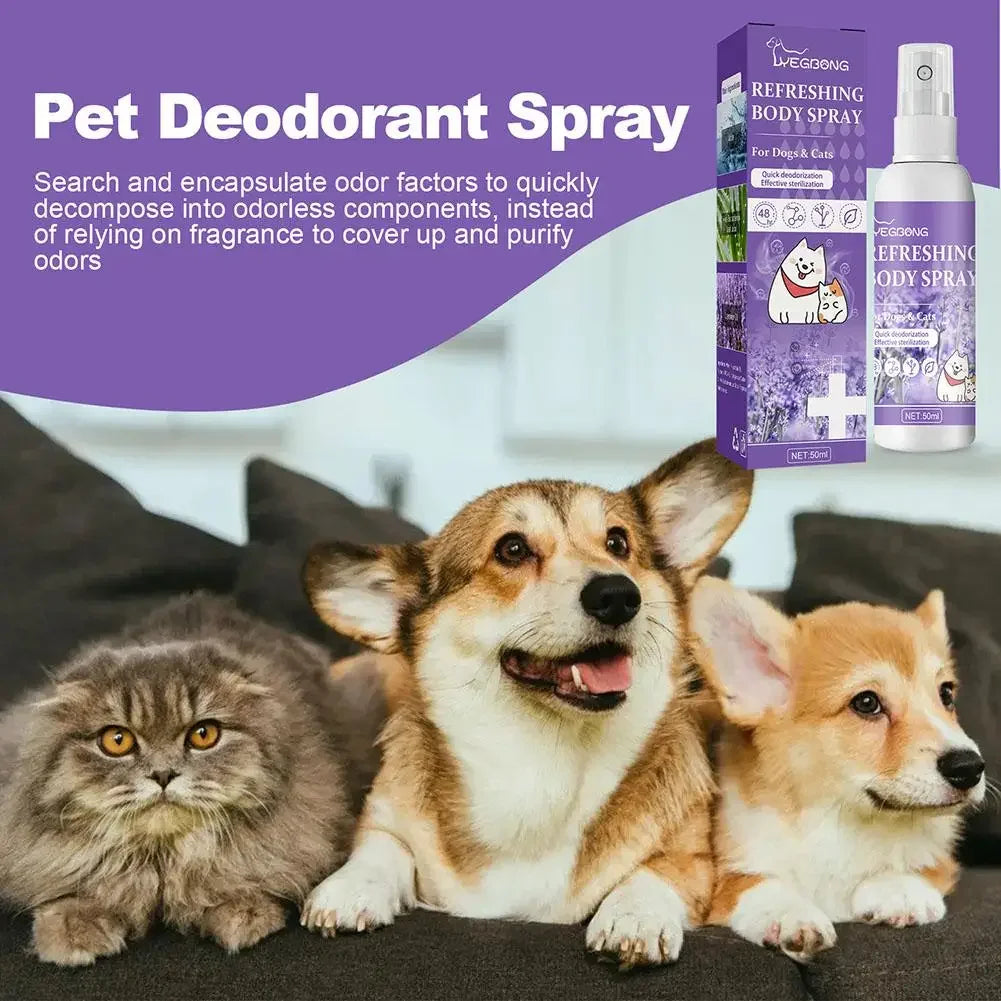 Lavender Pet Deodorizer Spray for Dogs and Cats – Long Lasting Odor Remover & Fresh Scent Perfume Spray 50ml