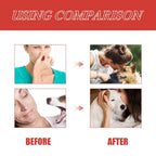 Dog Deodorizer Spray 300ml – Long Lasting Pet Perfume & Odor Remover for Dogs, Puppies & Cats