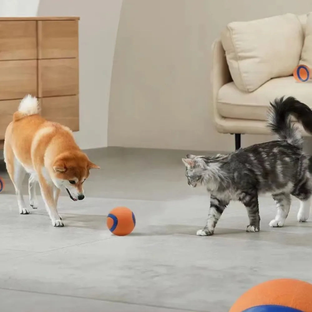 Dog Fetch Ball Toy – Tough Rubber Chew & Elastic Jumping Ball for Large, Medium and Small Dogs