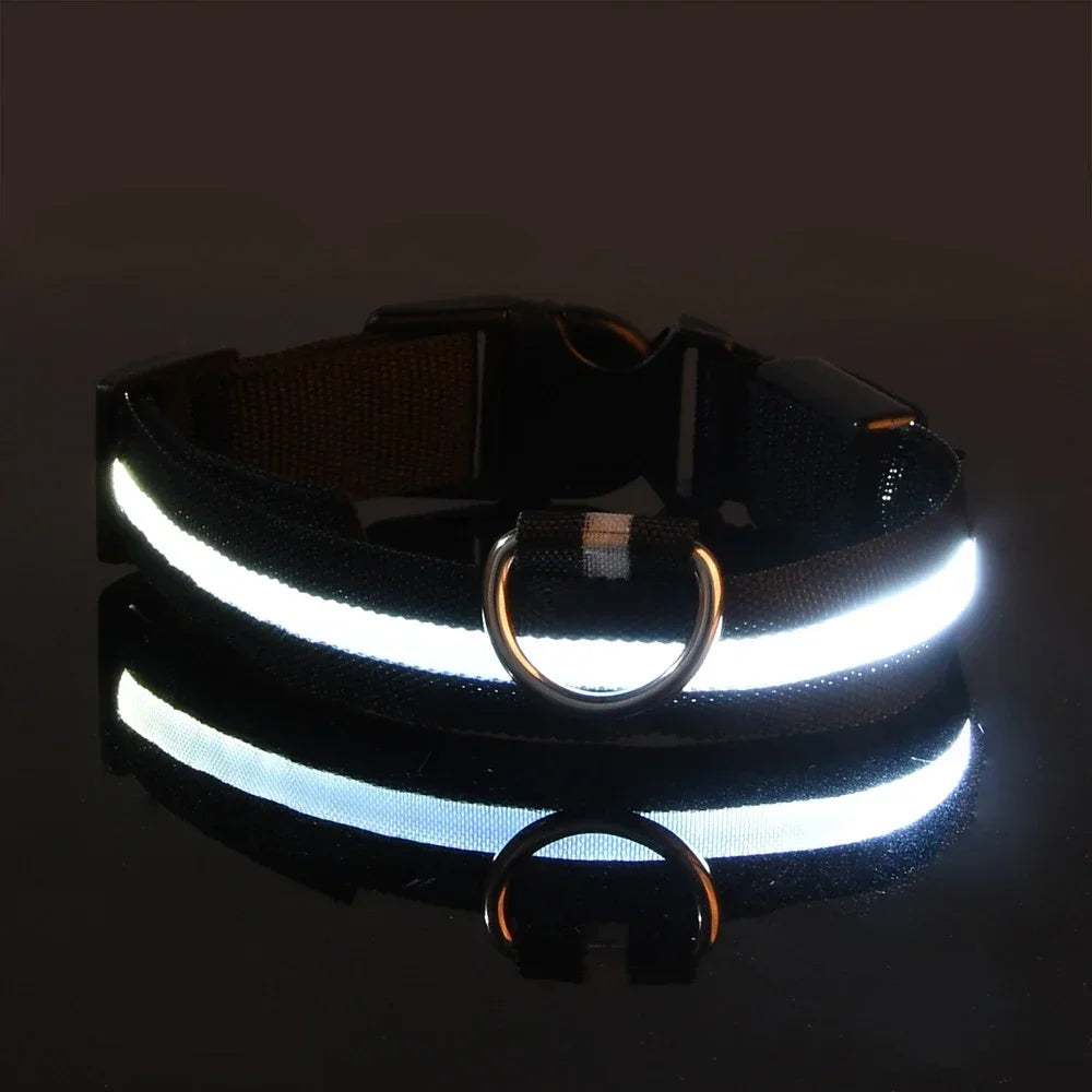 LED Nylon Dog Collar – Flashing Glow in the Dark Night Safety Collar for Dogs