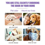 Lavender Pet Deodorizer Spray for Dogs and Cats – Long Lasting Odor Remover & Fresh Scent Perfume Spray 50ml