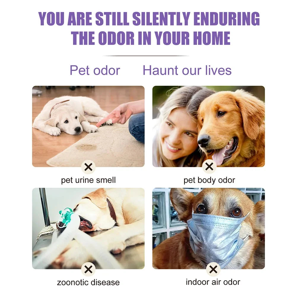 Lavender Pet Deodorizer Spray for Dogs and Cats – Long Lasting Odor Remover & Fresh Scent Perfume Spray 50ml