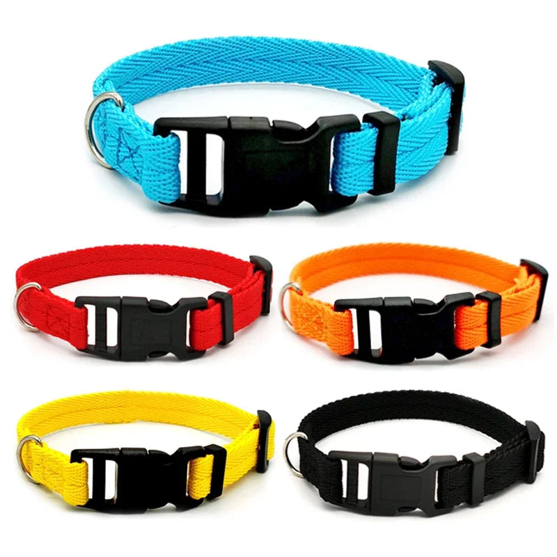 Solid Color Dog Collar for Small and Medium Dogs | Quick Release Adjustable Puppy Training Collar for Teddy Bichon Cats