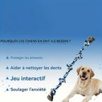 Heavy Duty Dog Rope Toy for Aggressive Chewers – Extra Long Cotton Chew & Teeth Cleaning Tug Toy
