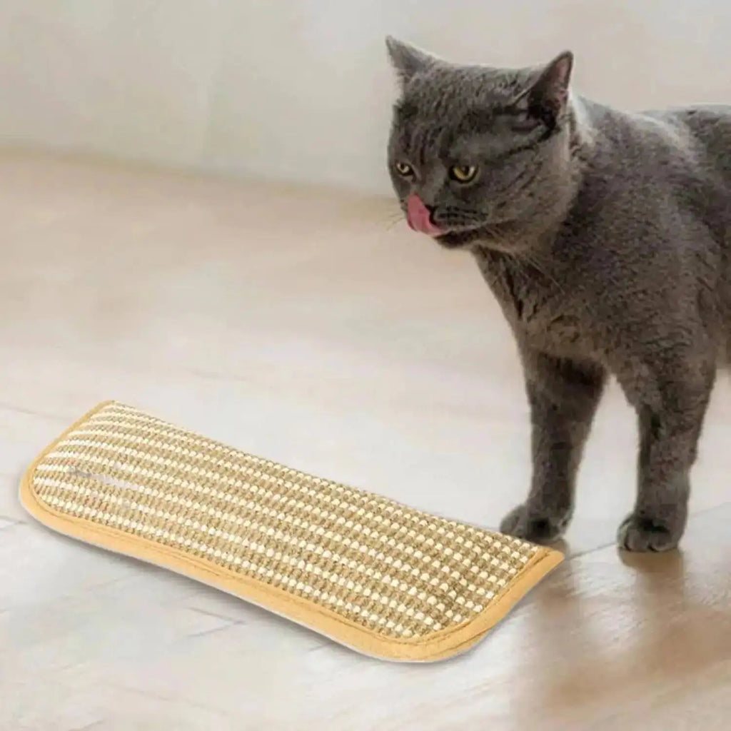 Interactive Cat Scratcher Toy with Catnip Pillow – Sisal Scratching Post, Claw Grinder & Chew Bite Toy for Kittens and Indoor Cats