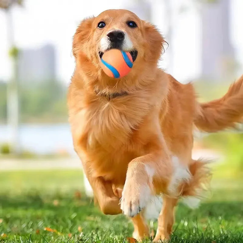 Dog Fetch Ball Toy – Tough Rubber Chew & Elastic Jumping Ball for Large, Medium and Small Dogs