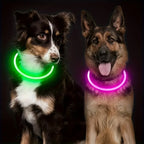 USB Rechargeable LED Dog Collar – Luminous Reflective Anti-Lost Pet Collar for Dogs