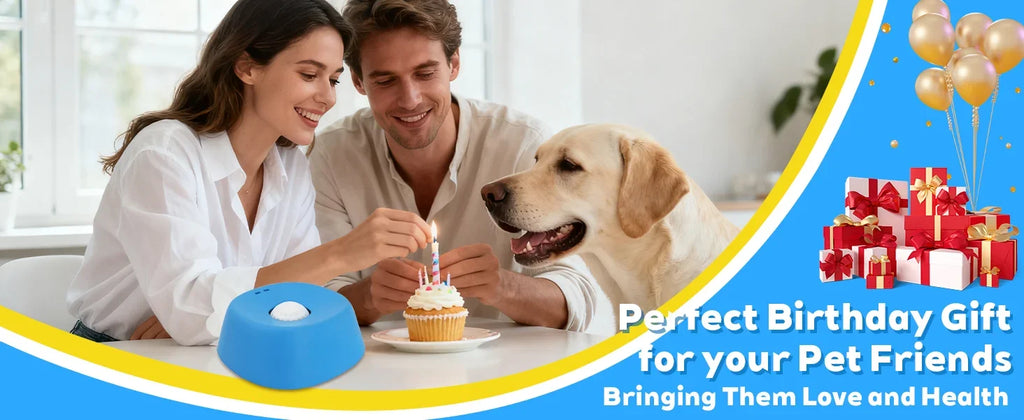 Slow Feeder Lick Bowl for Dogs – Spill-Resistant Lick Mat with Rolling Ball