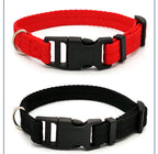 Solid Color Dog Collar for Small and Medium Dogs | Quick Release Adjustable Puppy Training Collar for Teddy Bichon Cats