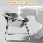 Elevated Stainless Steel Pet Bowl with Stand – Anti-Slip & Neck Support