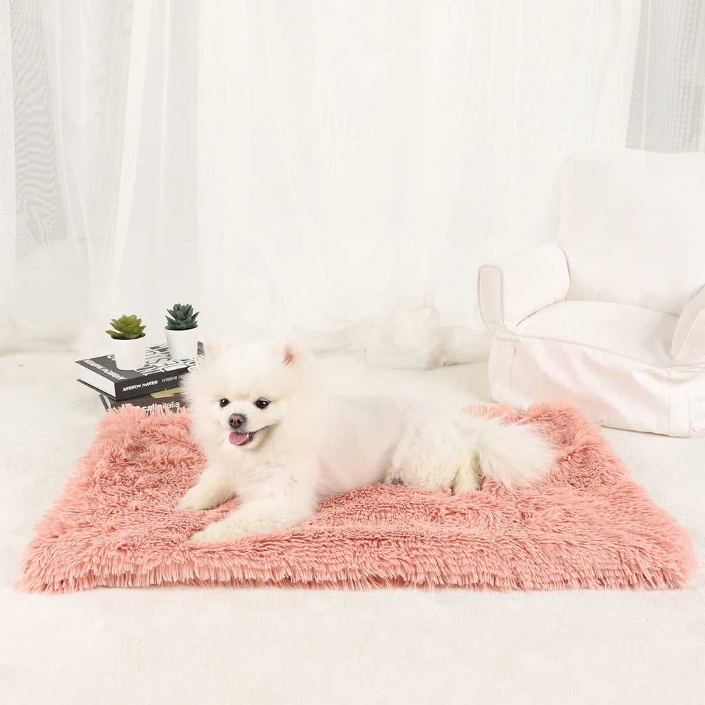 Plush Dog Blanket and Warm Pet Bed for Small Medium Large Dogs and Cats | Washable Puppy Sleeping Mat