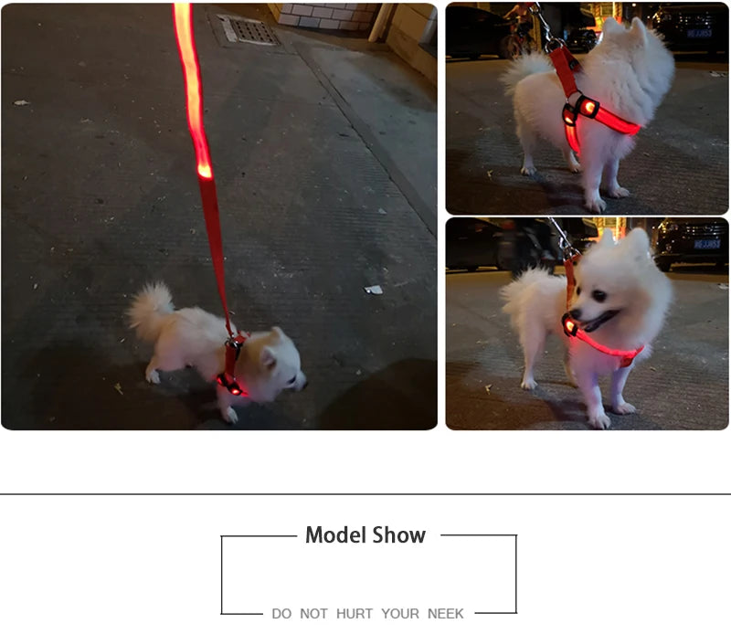 Adjustable LED Dog Harness Usb Rechargeable Flashing Night Safety No Pull Collars Harness For Small Medium Dogs Pets Arnes Perro