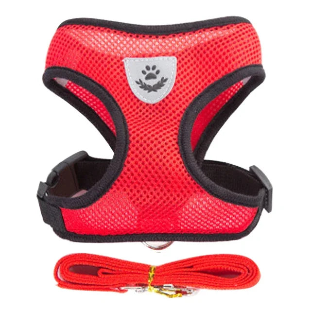 Adjustable Cat and Dog Harness Vest with Leash | Breathable Reflective Mesh Walking Harness for Small Medium Pets