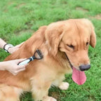 All-in-One Pet Deshedding Brush | Dog & Cat Grooming Tool for Hair Removal & Dematting
