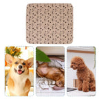 Reusable Puppy Pee Pad 60×40cm | Leak-Proof Absorbent Dog and Cat Training Mat for Home and Travel