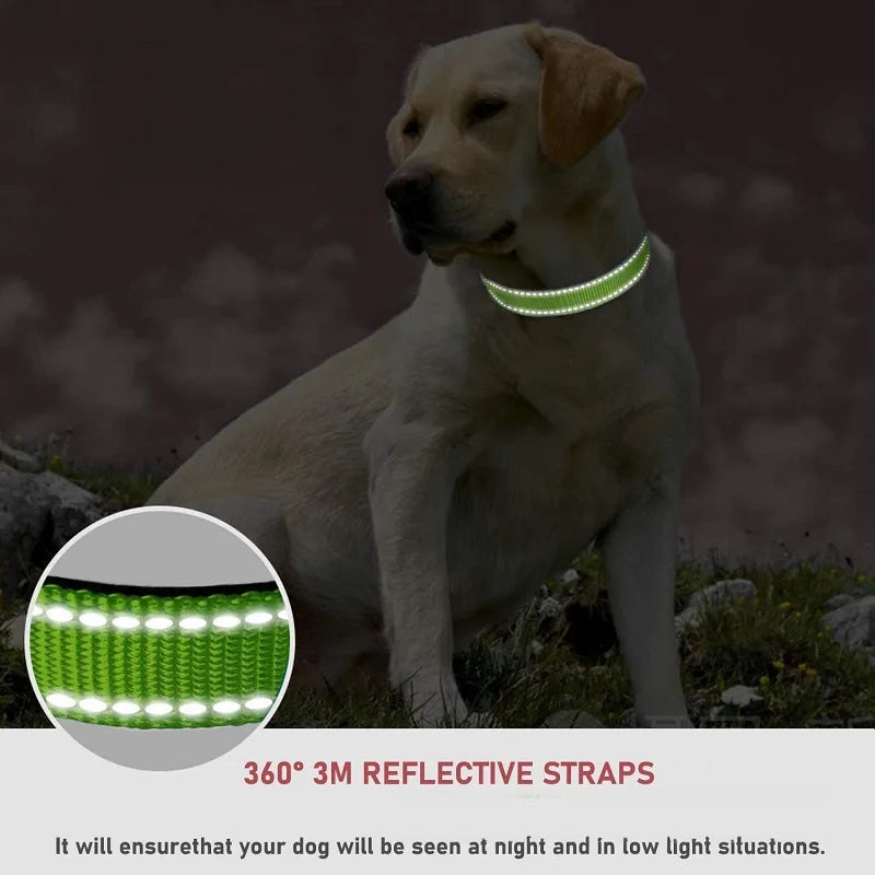 Decorative Choker Dog Collar for Small Puppies – Adjustable Nylon Pet Neck Collar
