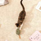 Interactive Mouse Plush Cat Toy – Squeaky Bite-Resistant Kitten Chew Toy